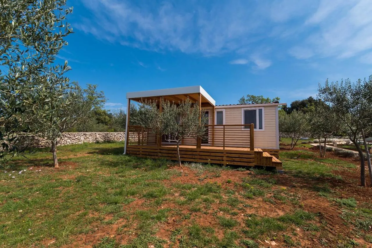 Kamp Punta Jerta Hotel Pinezici  Croatia